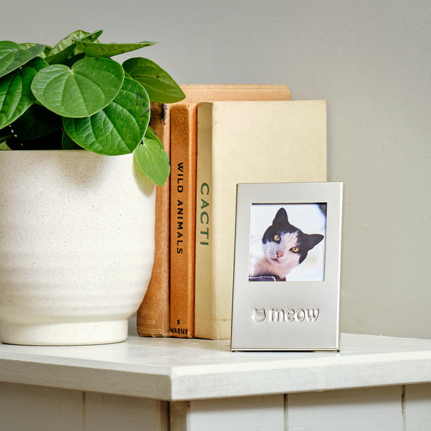 Perfect Paws Silver Plated Gift Photo Frames
