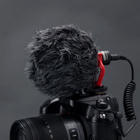 Cardioid Microphone