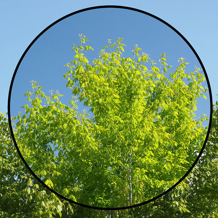 Exus Circular Polariser Filters