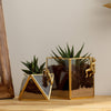 Gold & Glass Terrarium Pots
